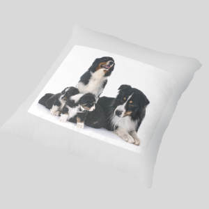 Pillow (cover and filling)